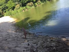 -佛山祈福仙湖酒店