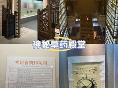 -广东中医药博物馆