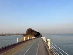 -贡湖湾湿地公园