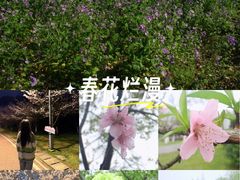 -团城山公园