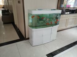 -邢台妇产医院