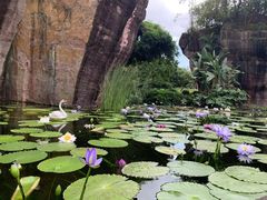 -广州莲花山旅游区
