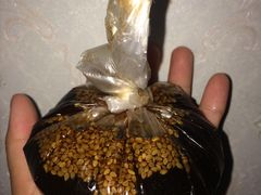 -味香鸭子店(汉口西路店)