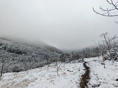 -安吉龙王山风景区