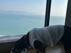 -碧桂园十里银滩