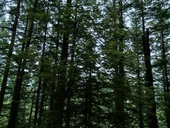 -芦芽山旅游度假区