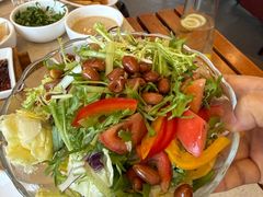 四季大拌菜-阳坊大都涮羊肉(阳坊总店)