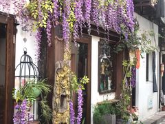 -运河游船(武林门码头)