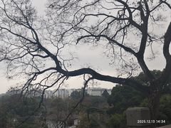-无锡梅园公园