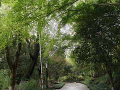 -杭州少年儿童公园