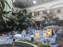 -北京君和豪生温泉度假酒店