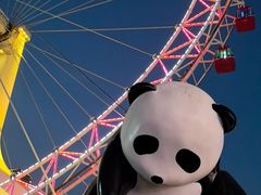 -天津之眼摩天轮