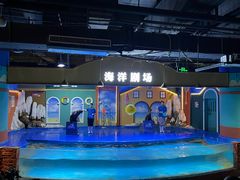 -重庆欢乐海底世界