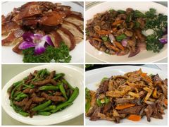 -红高粱大酒店(宁山东路店)
