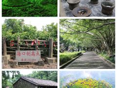 -海南热带野生动植物园
