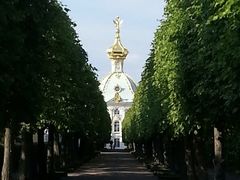 -滴血救世主教堂