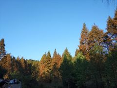 -山王坪喀斯特国家生态公园