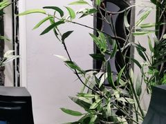 -徽州小镇(高新店)