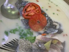 -全乐鱼馆·淳牌有机鱼直营店