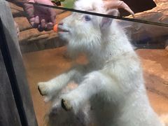 -苏州海洋馆