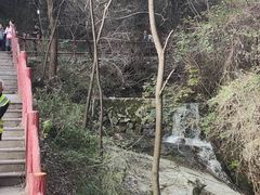 -王顺山国家森林公园