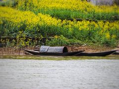 -新安江山水画廊风景区