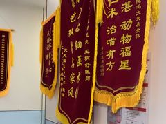-中农国际动物医院24小时·猫科·骨科·急重症中心