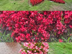 -上海交通大学(闵行校区)