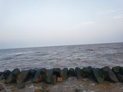 -南汇嘴观海公园