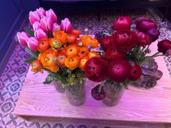 -YASAKI国际舞蹈中心