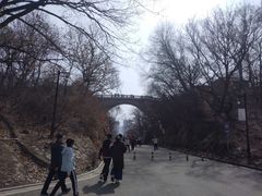 -北山公园