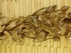 -绿岛汤泉韩式休闲会所