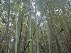 -石燕湖生态旅游景区