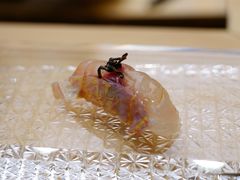 -鮨龍