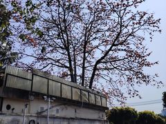 -喜洲吧·江畔老船厂·庭院餐厅(喜临院店)