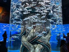 -哈尔滨波塞冬海底世界
