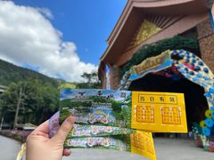 -西双版纳原始森林公园