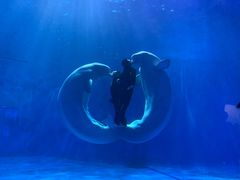 -多彩贵州城极地海洋世界