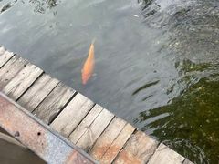 -湖南别院·美学庭院餐厅(惠阳店)