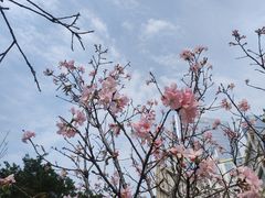 -文华公园(禅城区)