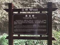 -重庆武隆天生三桥风景区-神鹰天坑