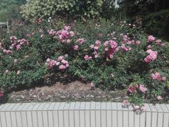 -人民公园(罗湖区)