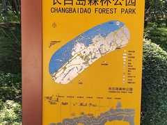 -长白岛森林公园