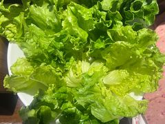 潮汕生菜-汕头八合里海记牛肉店(清河店)