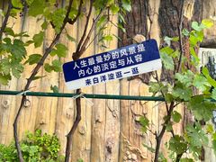 -白洋淀景区