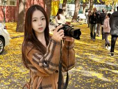 -三里屯东五街银杏大道