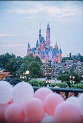 -迈瑞米求婚策划(静安店)