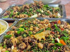 -铁山坪森林公园