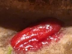 -巴奴毛肚火锅(京西大悦城店)