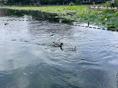 -郭守敬纪念馆